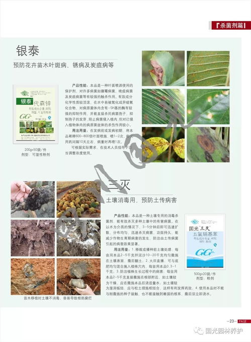 园林绿化及花卉苗木养护指南 2019年新版